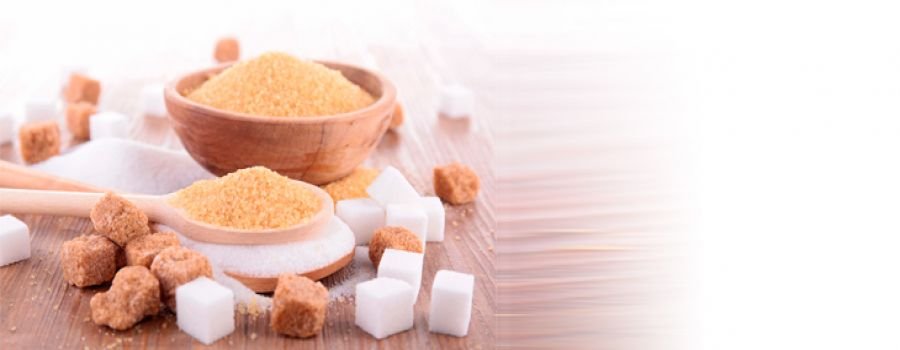 O Consumo de Açúcar no Início da Vida Afeta o Microbioma Independente da Obesidade 1